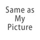 same as my picture 