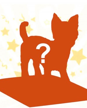 FULLY CUSTOM DOG PET BOBBLEHEAD FROM PHOTO